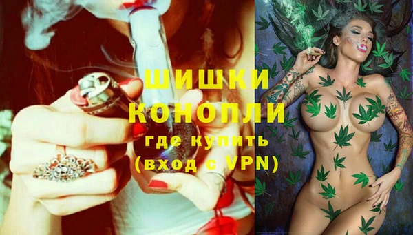 молекула духа Балахна