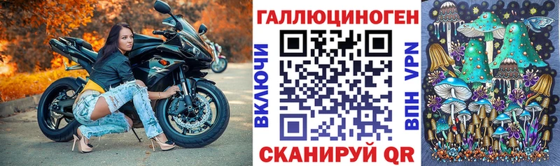 Галлюциногенные грибы GOLDEN TEACHER Буйнакск